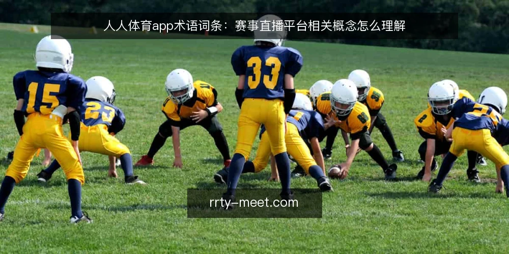 人人体育app术语词条:赛事直播平台相关概念怎么理解 — 人人体育app与赛事直播平台的基础词条 配图